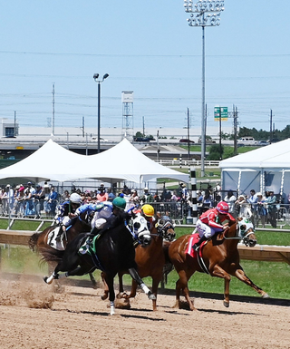 QH Festival