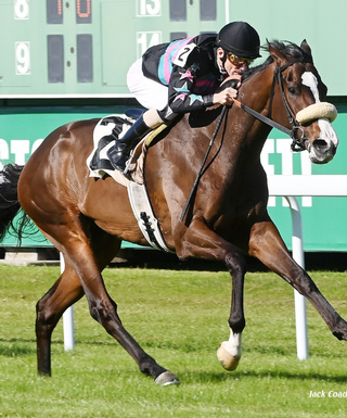 Jockey on Horse