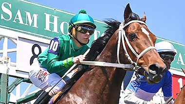 Handicapping