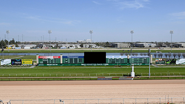 The Infield