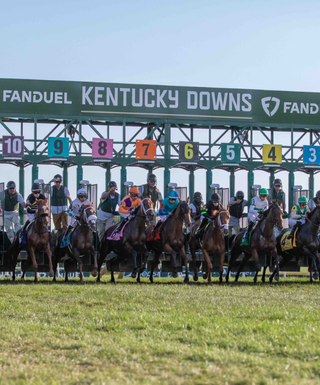 KY Downs
