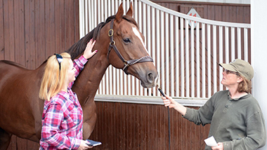 2025-SHRP-MYRACEHORSE-380X214