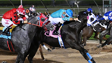 Quarter Horse Meet