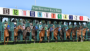 Houston Racing Scene Racing | Sam Houston Race Park