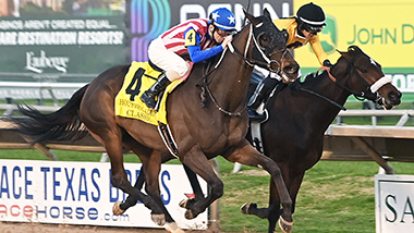Thoroughbred Meet