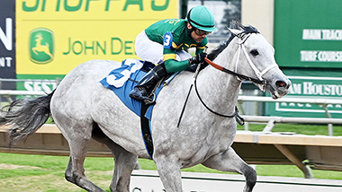 Thoroughbred Meet