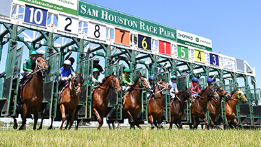 Starting Gate