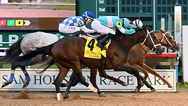 Houston Racing Scene 1-22-26-press-release-Houston Ladies Classic | Sam Houston Race Park