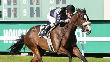 Jockey on Horse