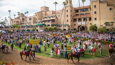 del mar paddock