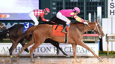 jockey on horse