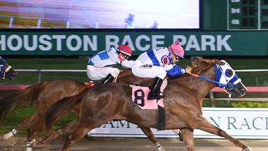 jockey on horse