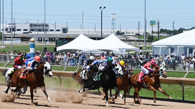 QH Festival