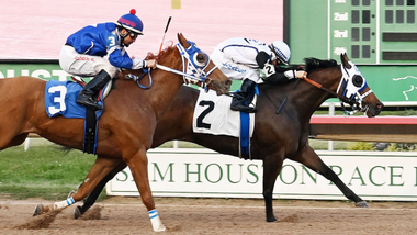 jockey on horse
