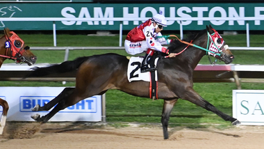 jockey on horse