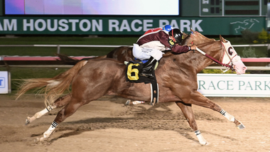 jockey on horse