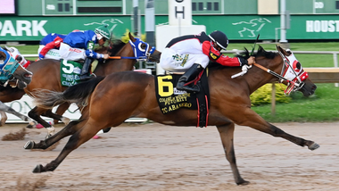 jockey on horse