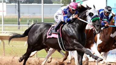jockey on horse