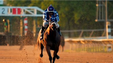 QH sunset