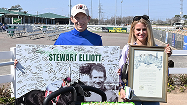 Stewart Elliott