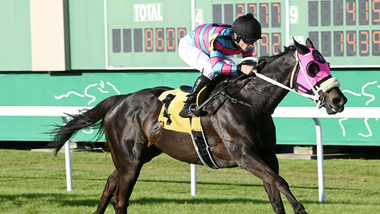 jockey on horse