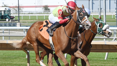 jockey on horse