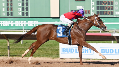 jockey on horse