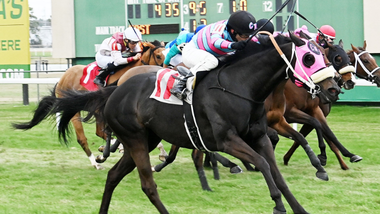 jockey on horse