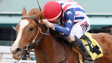 jockey on horse