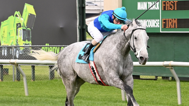 jockey on horse