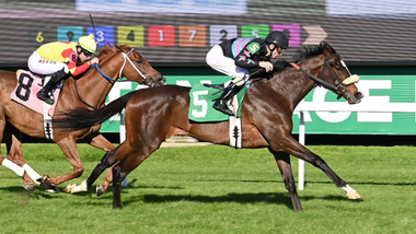 jockey on horse