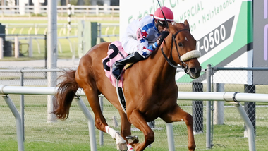 jockey on horse