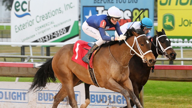 jockey on horse