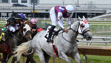 jockey on horse