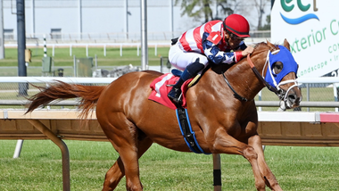 jockey on horse
