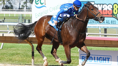 jockey on horse