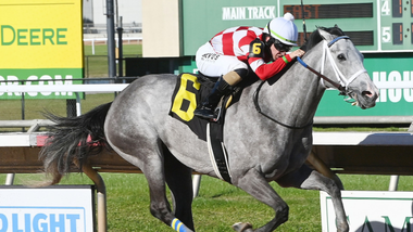 jockey on horse