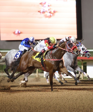 jockey on horse