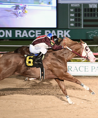 jockey on horse
