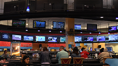 TV on the paddock level