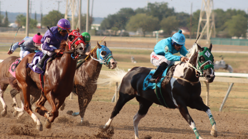 retama