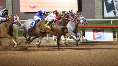 jockey on horse