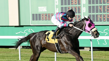 jockey on horse