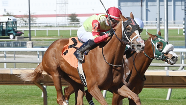 jockey on horse