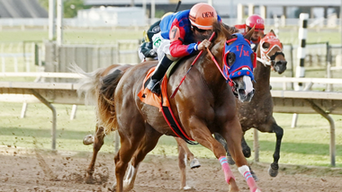jockey on horse