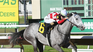 jockey on horse