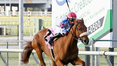 jockey on horse