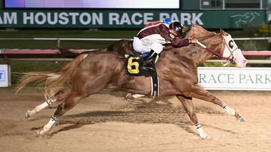 jockey on horse
