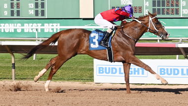 jockey on horse