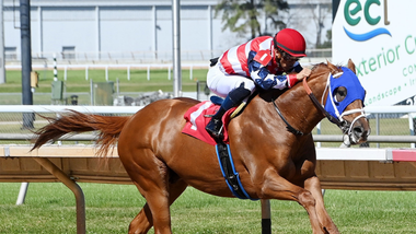 jockey on horse